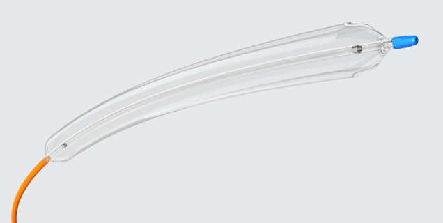 18LP-636x320