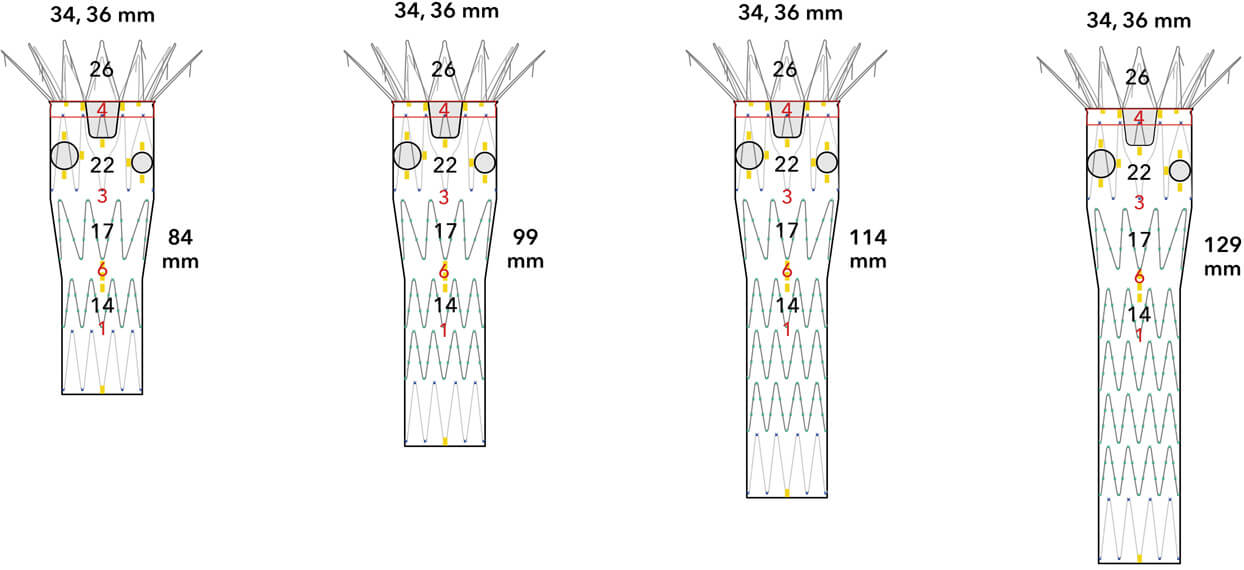 Diagrams of internal proximal stents with body lengths including 84 mm, 99 mm, 114 mm, and 129 mm.
