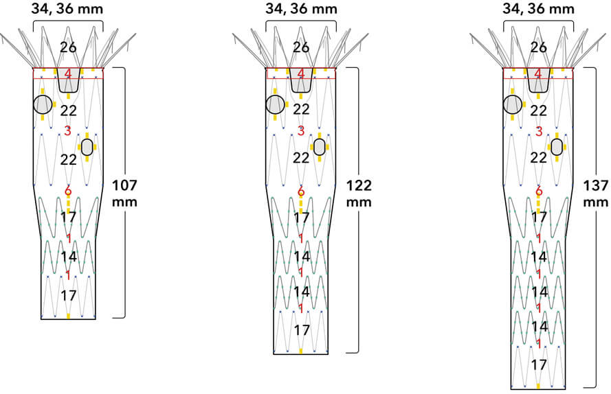 Diagrams of internal proximal stents with body lengths including 107 mm, 122 mm, and 137 mm.