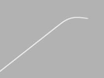 Roadrunner Hydrophylic Wire Guide
