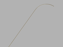 Pakter Curved Needle