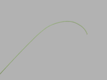 Coons Interventional Wire Guide