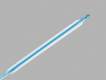 Kaye Nephrostomy Tamponade Balloon