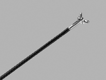 Cup Biopsy Forceps
