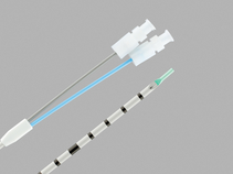 Dual Lumen Ureteral Access Catheter