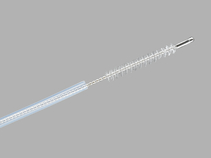 Cytology Brushes