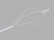 The Web®; II Double Lumen Extraction Basket