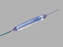 Quantum TTC®; Balloon Dilators