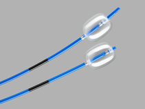 Tri-Ex®; Triple Lumen Extraction Balloons