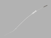 Guardia Access Nano Embryo Transfer Catheter