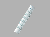 Zenith® TX2® Dissection Endovascular Graft with Pro-Form® Straight Component