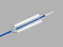 Cook Endoscopy Achalasia Balloon