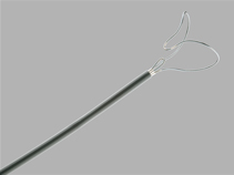 Needle's Eye Snare 2