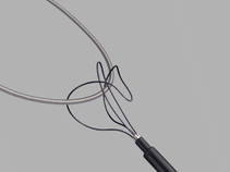 Needle's Eye Snare 3