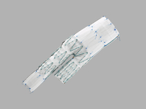 Zenith Fenestrated AAA Distal Bifurcated Body Graft