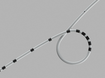 Salle Intraoperative Pyeloplasty Stent Set