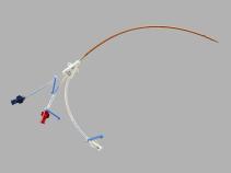 CVC Spectrum Triple Lumen with Clips