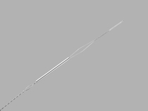 Bulldog Lead Extender