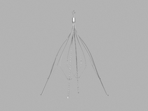 Günther Tulip Vena Cava Filter