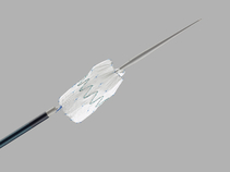Zenith Flex Main Body Extension Deployment