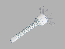 Zenith Renu AAA Ancillary Converter